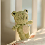 Georgie the Groggy Froggy