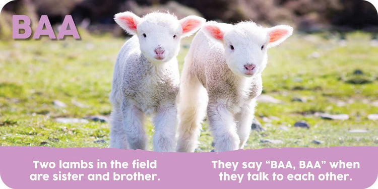 Baby Animals First Series by The Collective Book Studio – Discover Animal Sounds & Early Learning Fun
