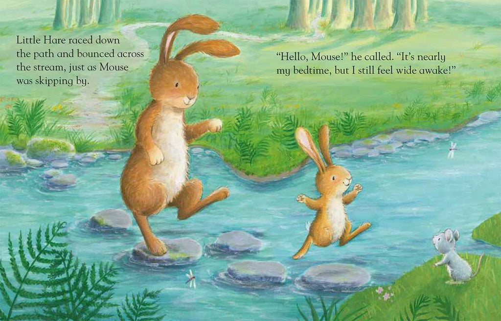 Kiss Goodnight by Claire Wright: Board Books