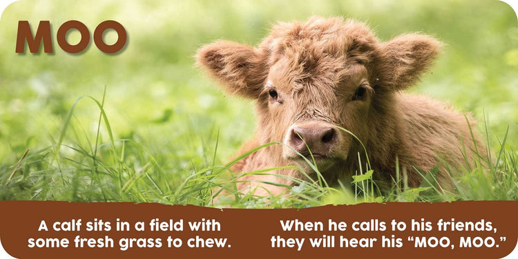Baby Animals First Series by The Collective Book Studio – Discover Animal Sounds & Early Learning Fun