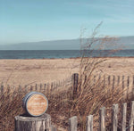 Pinch Me Therapy Dough Beach